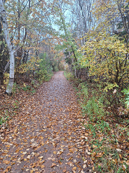 A trail near The House of Green Gables